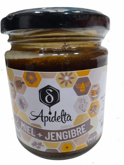 Miel + Jengibre - 240gr - Apidelta