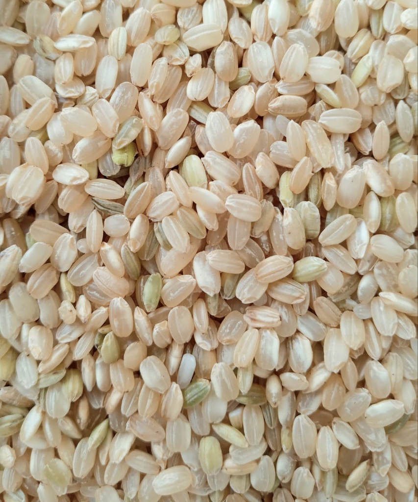 Arroz Integral Yamaní - 500gr - MeCoPo