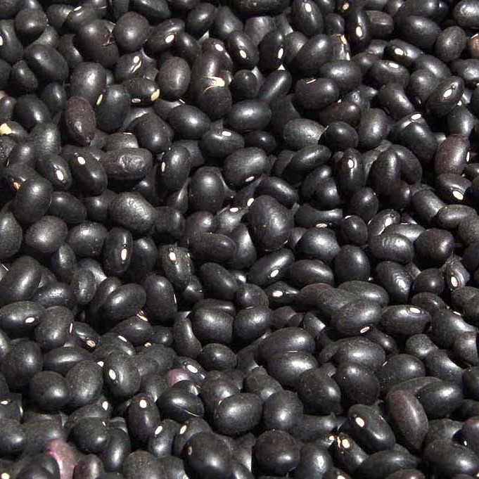 Porotos negros - 400gr - MeCoPo