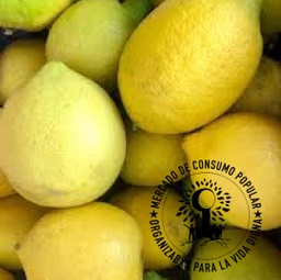 Limon AGROECOLÓGICO - 1kg - Prod. Finca Ecotipa, Alta Red