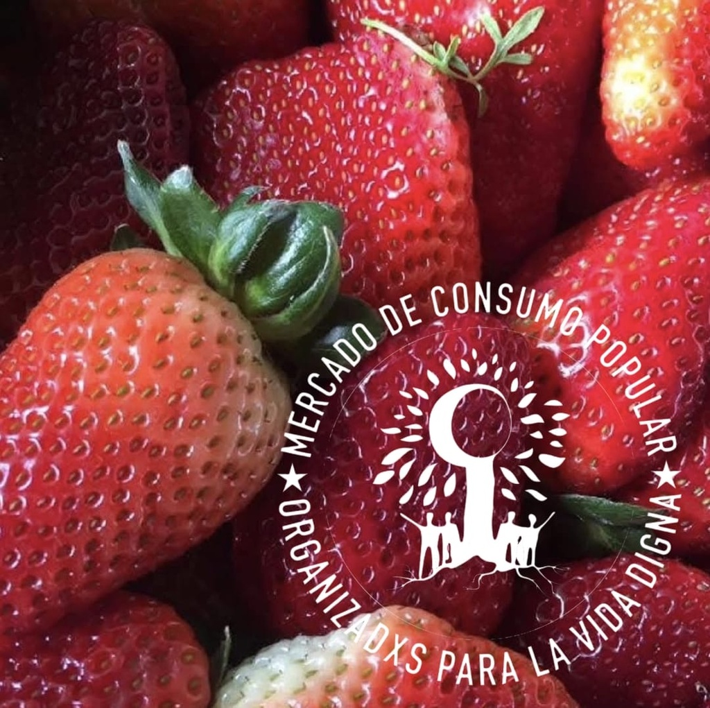 Frutilla agroecologica 1610 - 500gr -