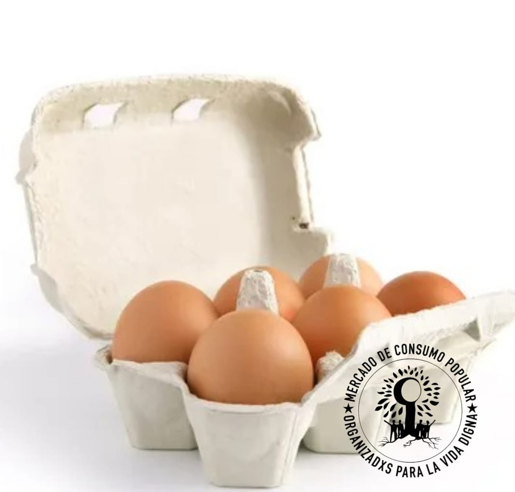 Huevos de campo -  caja 6 unidades