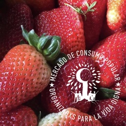 Frutilla agroecologica 1610 - 500gr -