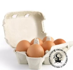 Huevos de campo -  caja 6 unidades