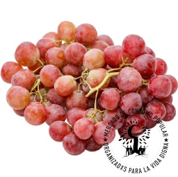 UVA RED GLOVE  1kg ALTA RED -RIO COLORADO