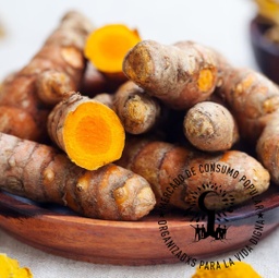 CURCUMA AGREOCOLOGICA  100 GR